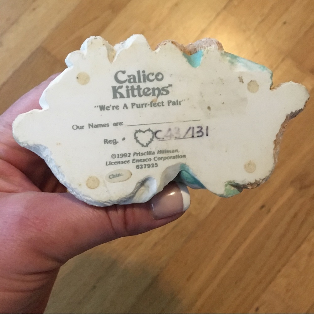 Calico Kittens - Picture 3 of 3